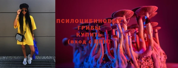 2c-b Абдулино