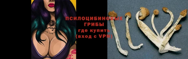 мяу мяу мука Алексеевка