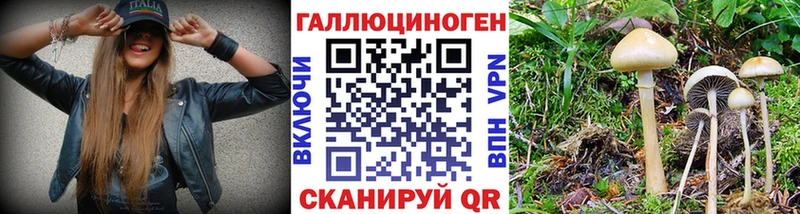 Псилоцибиновые грибы MAGIC MUSHROOMS  наркота  Нальчик 